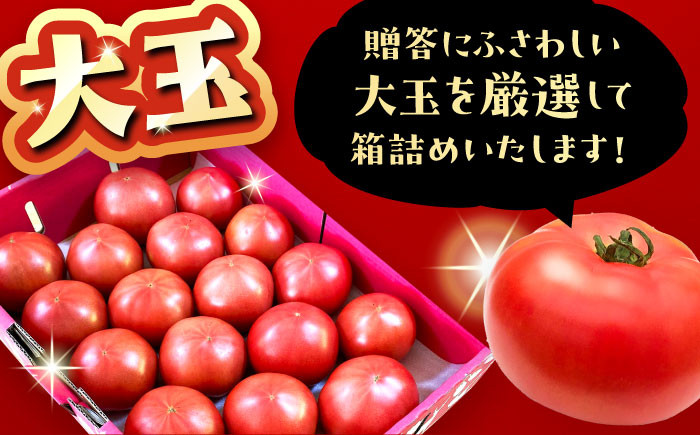 トマト とまと 大玉トマト  詰め合わせ お取り寄せ 産地直送 とまと トマト 野菜 やさい ギフト 贈答 プレゼント