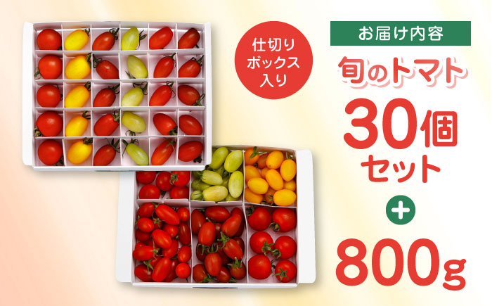 【期間限定】熊本県産 減農薬栽培 トマト ミディトマト 詰め合わせ 30個セット+800g  食べ比べ ギフトセット 産地直送 とまと【矢仁田農園】 [YDE005]