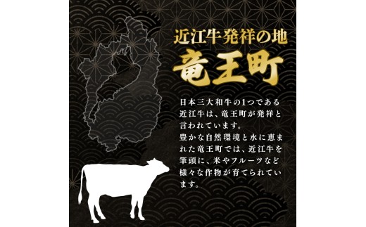 【日本三大和牛】 近江牛 ローストビーフ 300g 国産 黒毛和牛 国産牛 和牛ローストビーフ ローストビーフ丼  クリスマス お祝い 牛 肉オードブル 冷凍 小分け 人気 国産 ろーすとびーふ ro