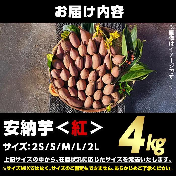安納芋 さつまいも 紅 4kg 種子島産 【うずえ屋】n479