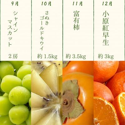 ふるさと納税 高松市 【発送月固定定期便】四季折々旬味覚!12ヶ月連続単品定期便♪全12回 |  | 03