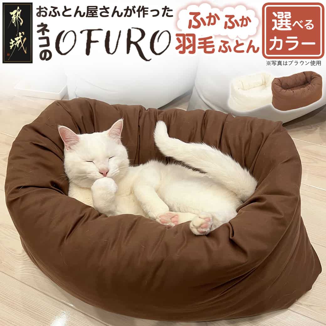 【ふるさと納税】【選べる2色！】ねこの羽毛ふとん「OFURO」 - 猫用 はいるにゃん アイボリー/ブラウン 丸洗い可能 ペット用品 洗えるベッド もぐる かわいい ふかふか お布団 ねこ 羽毛布団 猫用品 送料無料 AF-J206 【宮崎県都城市は2年連続ふるさと納税日本一！】