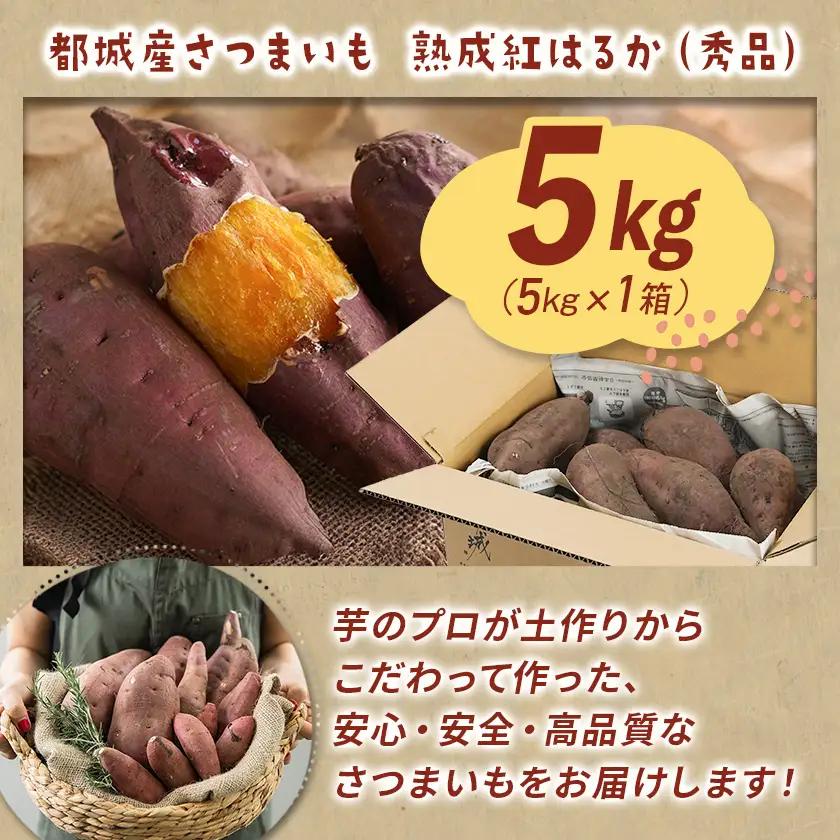都城産 長期熟成紅はるか 5kg〔AA-I2-001-5kg〕_(都城市) 都城産さつまいも 熟成紅はるか 5kg 長期熟成 スイーツ