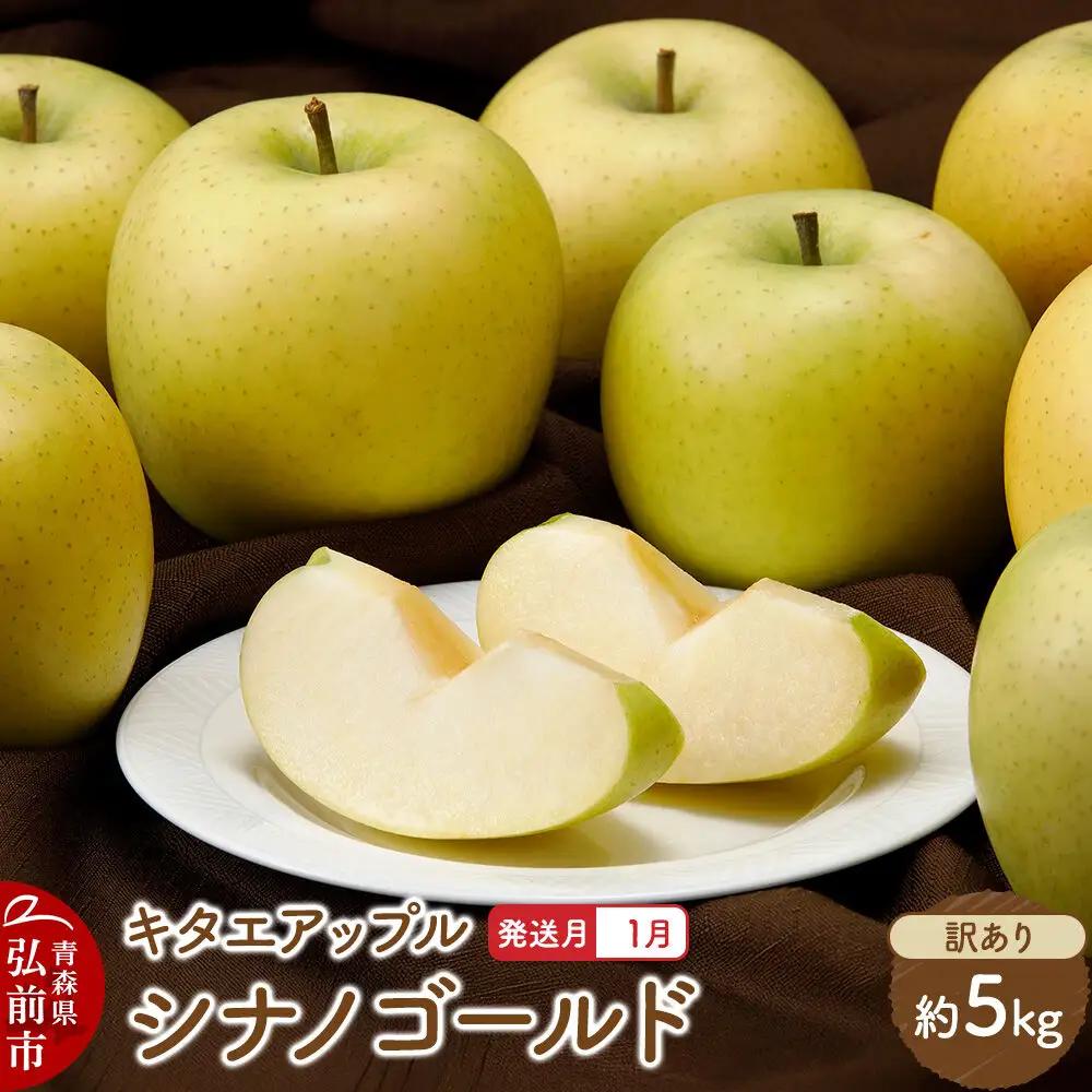 【27年1月発送】りんご シナノゴールド【訳あり】約5kg キタエアップル 青森県 弘前市