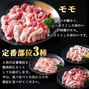 かごしま味わい黒豚 さつま焼肉コース (合計900g) 鹿児島県産 豚肉 黒豚 【KNOT】 A552