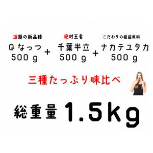 千葉産落花生三種味比べセット(Qなっつ、千葉半立、ナカテユタカ)各500g×3袋　総重量1.5kg【1361069】