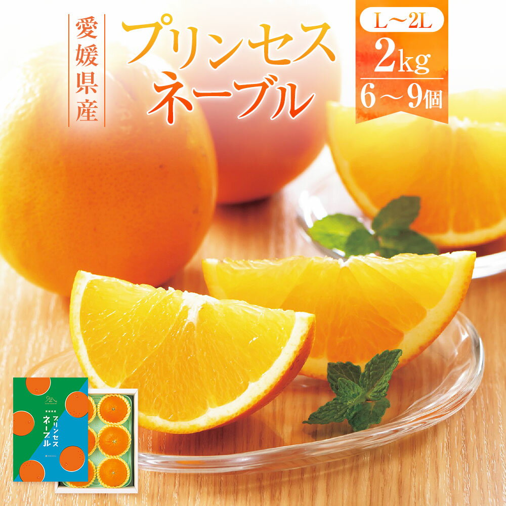 【ふるさと納税】愛媛県産 プリンセスネーブル L～2Lサイズ 約2kg 6～9個 ネーブル オレンジ 柑橘 果物 くだもの フルーツ おやつ デザート 国産 愛媛県 送料無料【2026年3月上旬～3月下旬発送予定】(875)