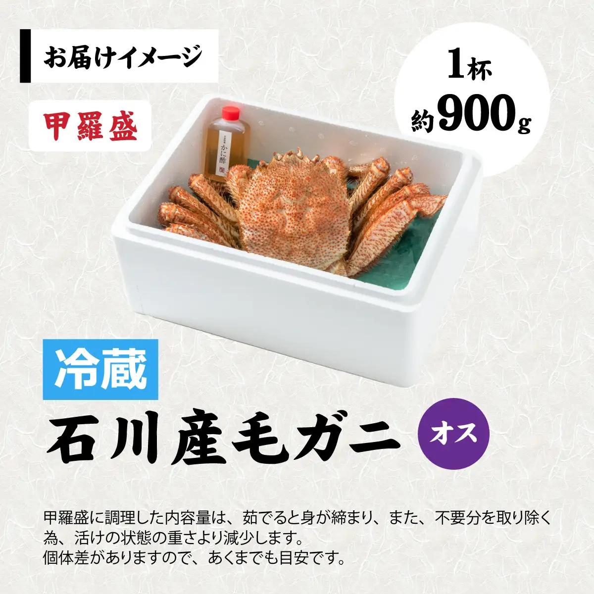 【甲羅盛】【成前特選】美味しさ直送！北陸産毛ガニ900ｇ前後×1杯（オス） [F-028009_02] / 毛ガニ