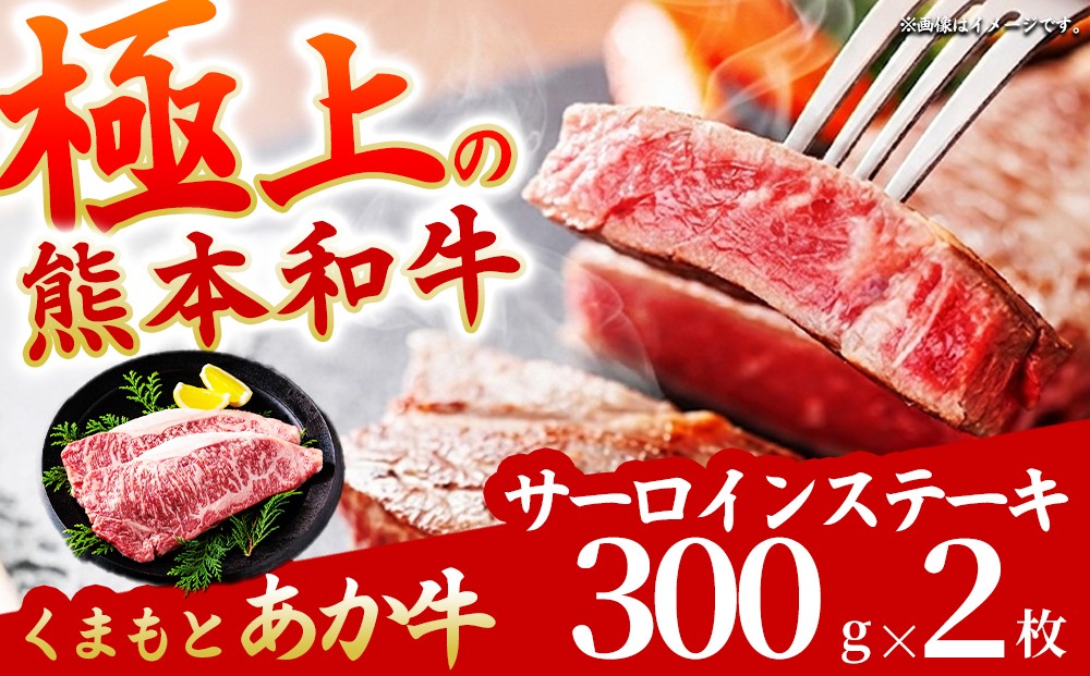 
                  【希少和牛】あか牛 サーロインステーキ 約300g 2枚 約600g サーロイン さーろいん ステーキ すてーき さーろいんすてーき ステーキ肉 すてーきにく サーロインセット サーロインステーキセット ステーキセット ステーキ小分け 小分け 小分けパック 焼肉 やきにく 赤牛 あか牛 あか牛サーロイン あか牛ステーキ 和牛 褐毛和種 最高級部位 希少部位 極上 赤身 冷凍 熊本県 阿蘇市
                