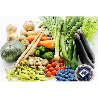 ふるさと納税 今治市 しまなみ野菜と果物セット(おまかせ)【C89】