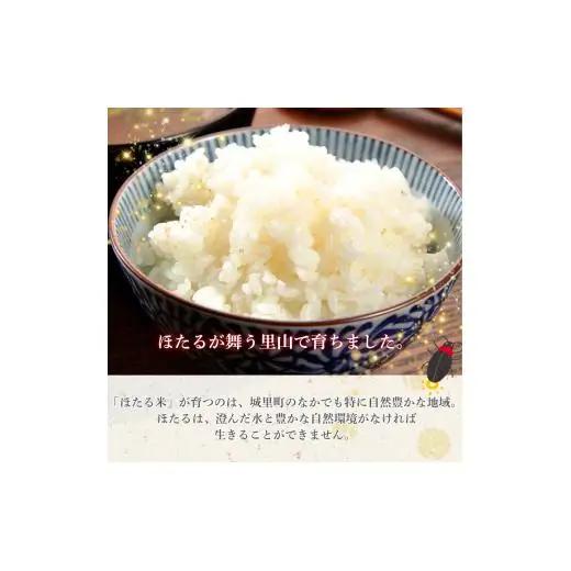 ほたる米 5kg（茨城県共通返礼品・城里町産） / 米 こめ コメ お米 おこめ ほたる米 白米 精米 ごはん ご飯 令和7年産 5kg 茨城県 城里町 利根町