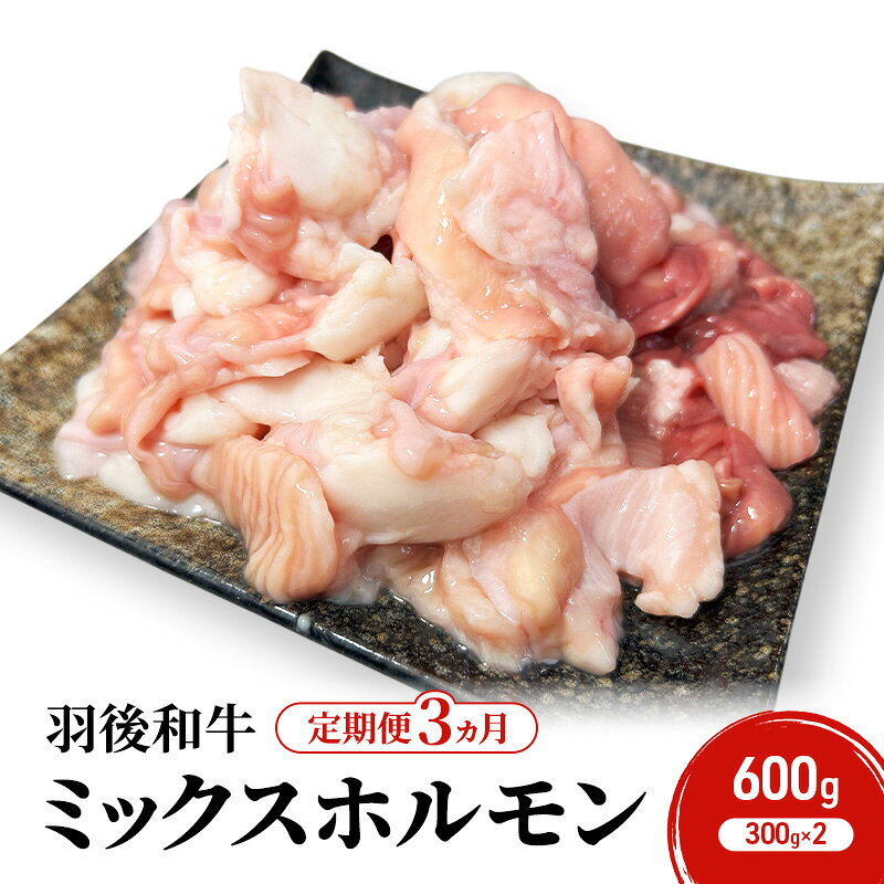 【ふるさと納税】《 定期便 3ヵ月 》 秋田県 羽後町産 羽後和牛 ミックスホルモン 600g （300g×2）【 焼肉 ホルモン BBQ バーベキュー キャンプ 】