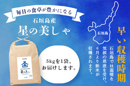 石垣島産 星の美(かい)しゃ 5kg みやぎ米屋【 日本一早い新米の産地 お米 産地直送 旬 ほしじるし 沖縄県 石垣市 送料無料 】MK-3