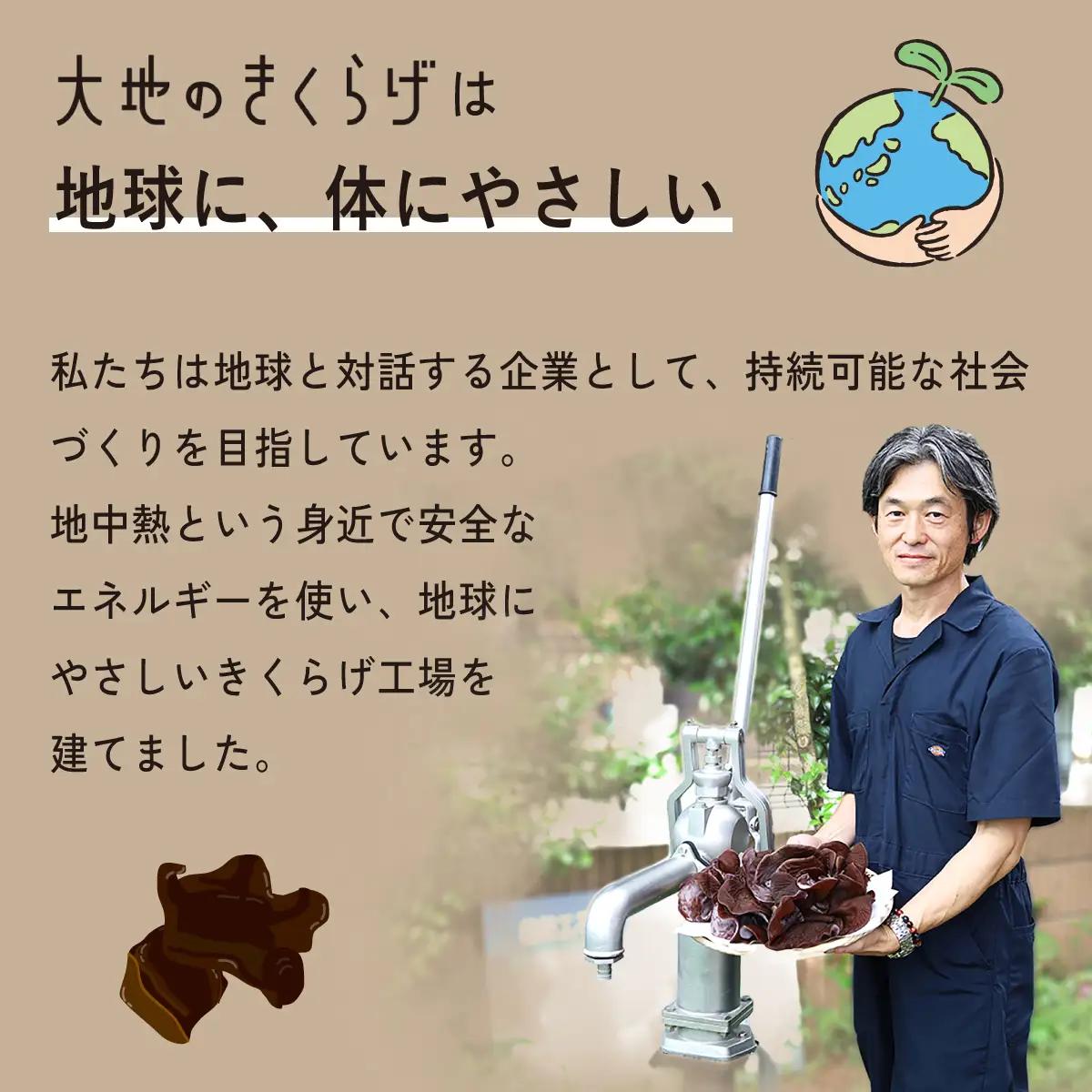 国産 乾燥きくらげ 細切りカット 30g × 4個 大地のきくらげ