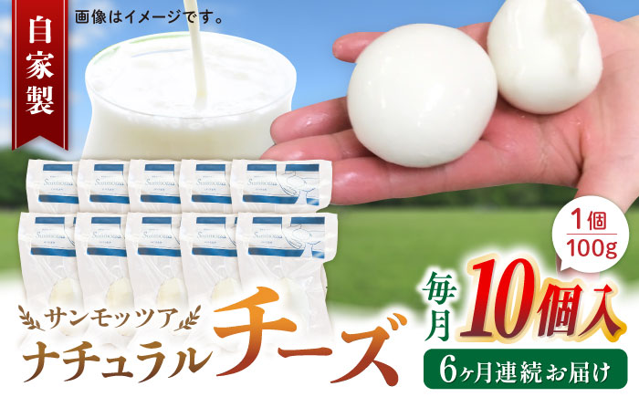 【全6回定期便】自家製ナチュラルチーズ サンモッツア 10個 ( 100g × 10個 ) 熊本 山都町【山の未来舎】[YBV021]