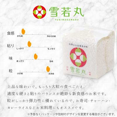 ふるさと納税 鶴岡市 真空キューブ米 詰め合わせ 300g(2合)×6個 山形県産 つや姫/雪若丸/ひとめぼれ |  | 02