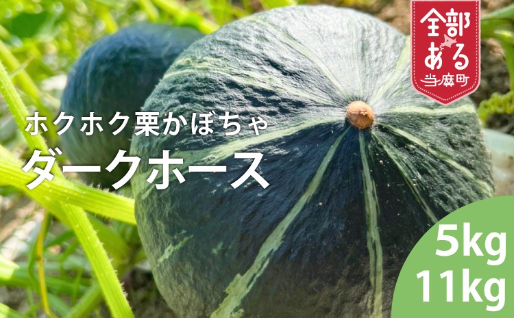 
                  【2026年産】かぼちゃ　選べる数量　北海道当麻町産ダークホース
                
