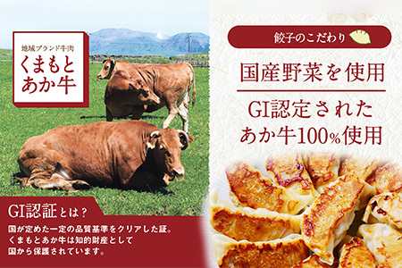 【餃子】 くまもとあか牛100% 餃子 60個 (20個入り×3) 熊本県産 GI認証取得 ぎょうざ ギョウザ お手軽 簡単 079-0610