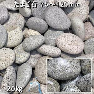 庭石   たまご石（75～130mm） 1袋（約20kg）玉石 グレー系