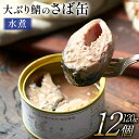 【ふるさと納税】大ぶり鯖のさば缶 12缶セット 水煮 [モンマルシェ 宮城県 気仙沼市 20562833] 保存食 さば缶 サバ 鯖 缶詰 缶詰め さば味噌煮 サバ味噌煮 簡単調理 三陸