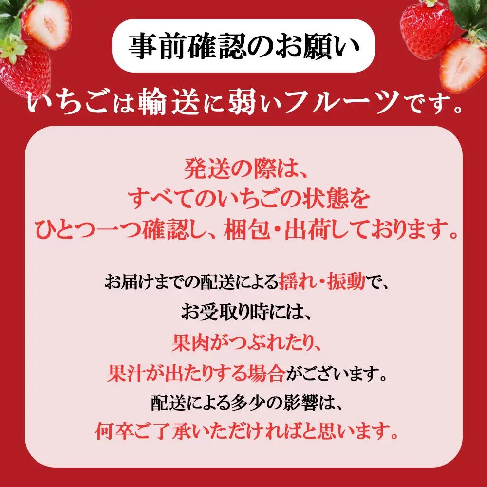 【定期便2回】ベリーツ × 2パック ( 約500g ) ( 1パック/250g前後 ) | いちご ベリー フルーツ 果物 産地直送 大分県 中津市
