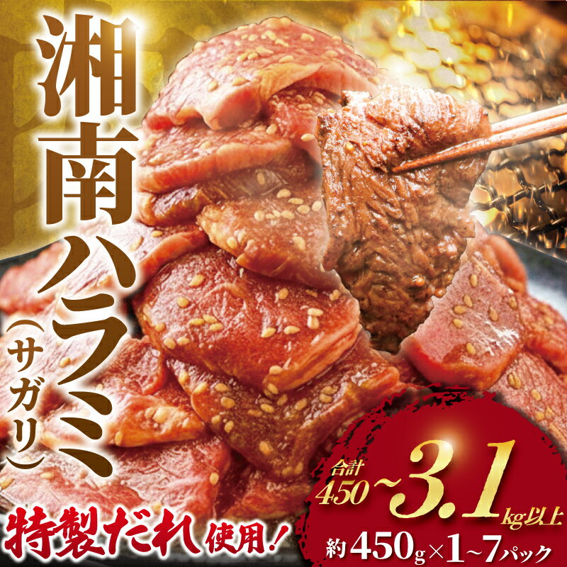 【ふるさと納税】 ハラミ タレ漬け 選べる容量 450g～1.3kg はらみ 牛はらみ 牛 牛肉 肉 お肉 焼き肉 焼肉 タレ 味付 牛ハラミ サガリ ビーフ 美味しい 柔らかい 美味 小分け 大容量 個包装 簡単調理 BBQ おかず 冷凍 タカギフーズ 神奈川 湘南 藤沢