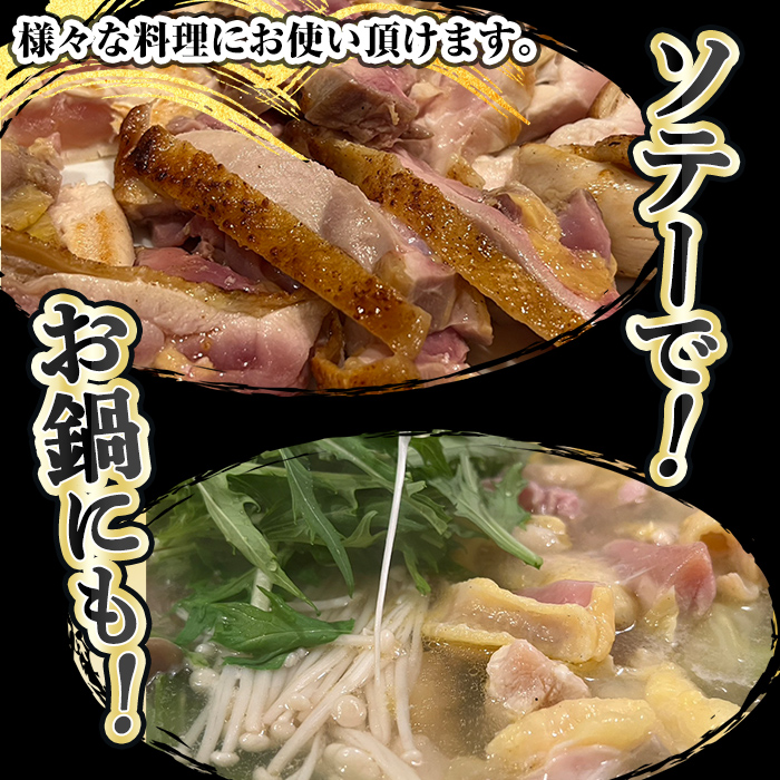 K-419 鹿児島県産黒さつま鶏 特選もも肉(2枚・計700g以上)【ビッグバード・カピリナ】 国産 鶏肉 鳥肉 モモ肉 鶏もも肉 肉 とりにく