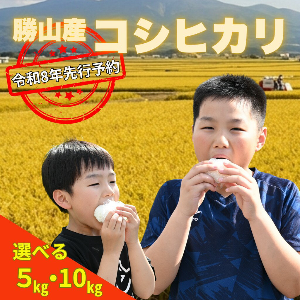 【ふるさと納税】【先行予約】令和8年産 コシヒカリ 精米 容量選べる5kg・10kg※2026年10月上旬より順次発送予定│コシヒカリ 精米 白米 福井県勝山市 勝山米 白山水系 清流米 一等米 いのくちファーム 甘い米 冷めてもおいしい米 [A-103001]