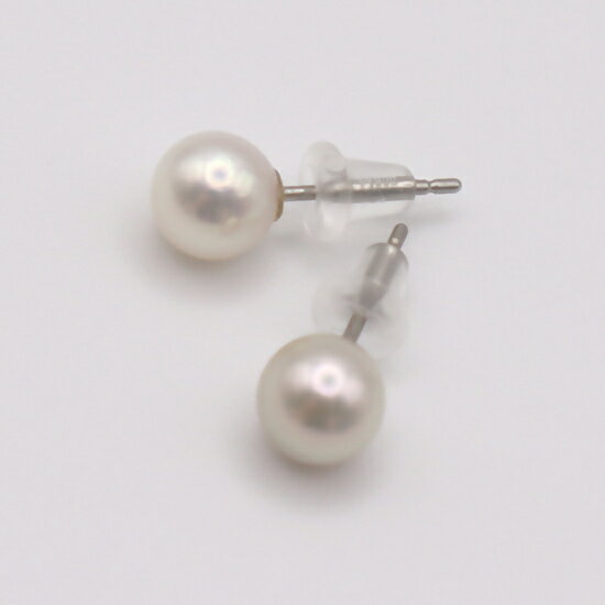 【ふるさと納税】2034 Pt900　あこや本真珠6.5～7.0mm　スタッドピアス