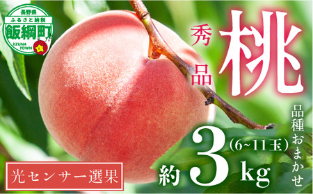 【 2026年 先行予約 】 桃 3kg 秀品 訳あり 《 品種おまかせ「 白鳳 」「 あかつき 」「 なつっこ 」いずれか1品種 》 光センサー選別品 【 予約 果物 くだもの もも フルーツ 長野 信州 クール便 】 沖縄県への配送不可 2026年8月上旬頃から2026年8月中旬頃まで順次発送予定 日時指定不可 令和8年度出荷分 長野県 飯綱町 [1441]
