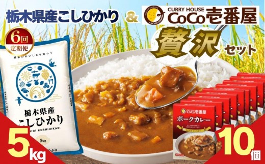 【定期便6回】ココイチ ポークカレー10個 &コシヒカリ5kgの贅沢セット