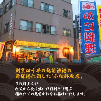ふるさと納税 越前町 地元鮮魚店厳選 【訳あり】 ≪浜茹で≫ 足折れ 越前がに 中サイズ 1杯【12月発送分】 |  | 03