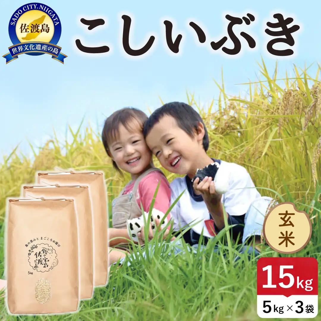令和8年産 佐渡島産こしいぶき 玄米15kg 195962-154502