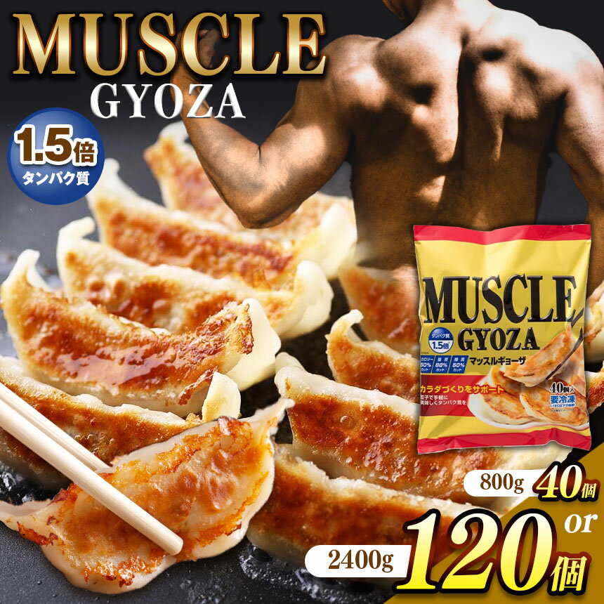 【ふるさと納税】選べる　MUSCLE GYOZA ～マッスルギョーザ～ | 餃子 ギョーザ低糖質 マッスルギョーザ 長野県 松本市