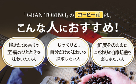 GRAN TORINO 200g×3種類 コーヒー 豆 キリマン トラッドブレンド グアテマラ 3種 飲み比べ セット 計600g 自家焙煎 珈琲豆 ドリンク 飲料 福岡県 福岡 九州 お取り寄せ