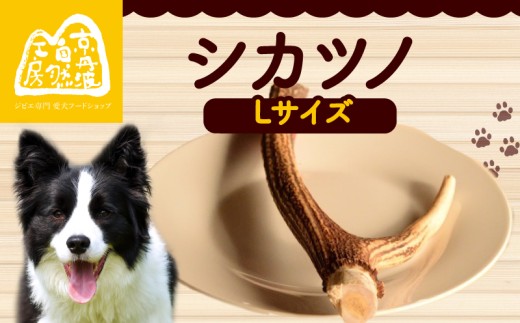 シカツノ Lサイズ 鹿の角 鹿角 おもちゃ ペット おすすめ 国産 いぬ イヌ 犬 わんちゃん ワンちゃん 愛犬 犬のおもちゃ 犬用おもちゃ イヌのおもちゃ ペット用品 デンタルケア しつけ いたずら 甘噛み防止 口臭対策 歯石除去 安心 天然素材 京都 京丹波町 京丹波自然工房