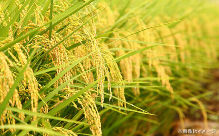 【全3回定期便】たたら焔米 雲南市プレミアムつや姫 8kg(2kg×4袋)  2025年産 新米 [AIBR007]