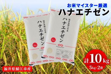 令和8年産 新米 ハナエチゼン 10kg（5kg × 2袋）お米 ごはん