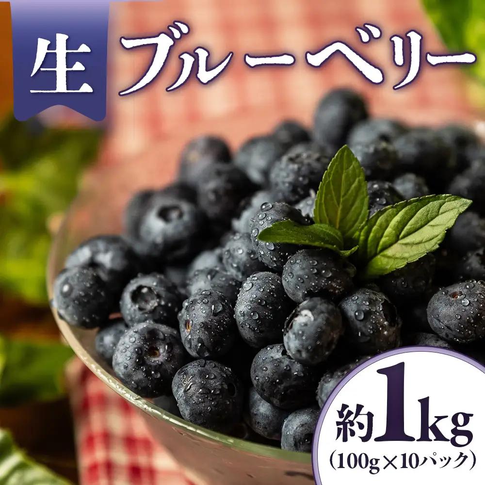 A-118　生ブルーベリー 約1kg（100g×10パック） 【2027発送分】
