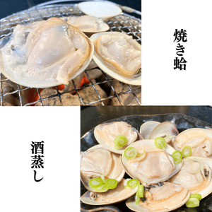 大粒!天然はまぐり(特特大サイズ)170g前後×5個入り 個包装 岬だより