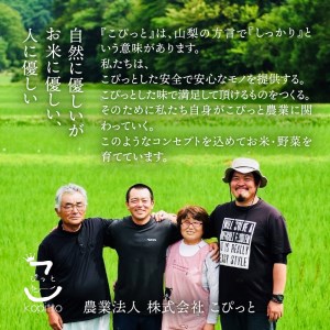 【令和5年度】こぴっと米【極】4kg大粒厳選・１等特別栽培米100％