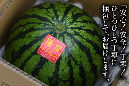 AH167 【令和8年度出荷分】絶品！大玉スイカ 〜 羅皇（ ラオウ ）〜（ L/2Lサイズ 6kg以上 ）[ スイカ すいか 大玉 野菜 果物 フルーツ 吉田農園 長崎県 島原市]