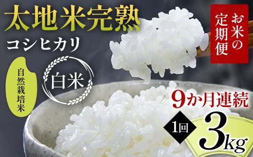 
            お米の定期便 自然栽培米 太地米完熟 【こしひかり】 白米3kg×9か月連続 ブランド米 お米 精米 白米 人気 F7X-0438
          
