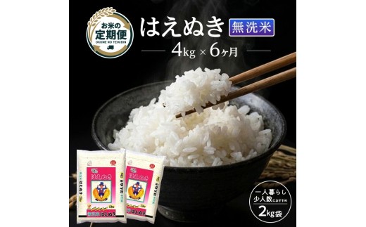 【定期便】庄内産無洗米はえぬき4kg×6ヶ月連続下旬発送 計24kg（7月～12月）