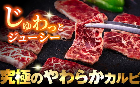 牛カルビ 3kg 定期便 3ヶ月 焼肉用 ギフト ジューシー やわらか 人気 冷凍 バーベキュー BBQ キャンプ アウトドア （インジェクション）