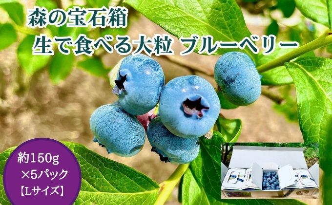 森の宝石箱 生で食べる（栽培期間中は農薬不使用）ブルーベリー 約150g×5パック Lサイズ