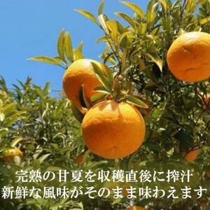 お鍋にはこれ!湯浅醤油を使用した「夏みかんポン酢」2本【1568878】
