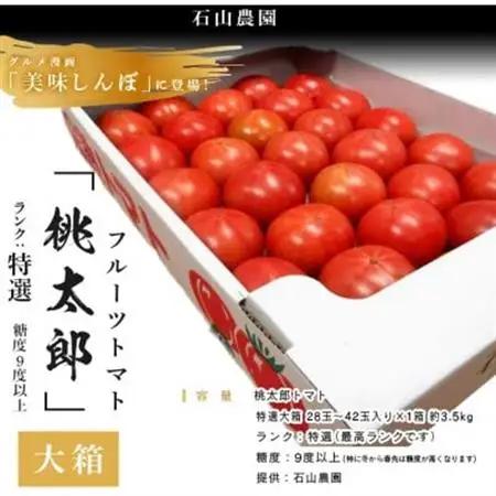【先行受付2027年発送】美味しんぼに登場　トマト「桃太郎」大箱 28玉～42玉　特選　糖度9度以上【配送不可地域：離島・沖縄県】【1604235】