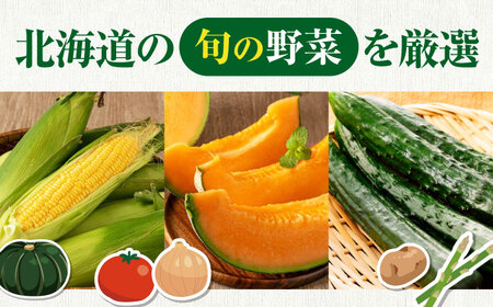 【2026年10月上旬以降順次発送】朝採れ 旬の野菜 10品目 野菜 先行予約 北海道 産地直送 旬 詰合せ [AJAH033]