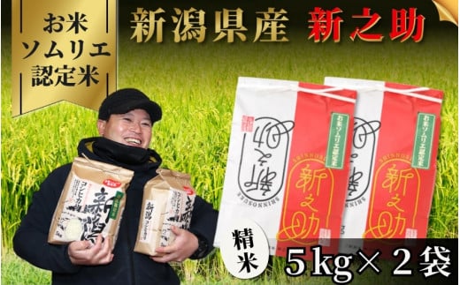 《先行予約》令和7年産新米【お米ソムリエのお米】新之助 精米 10kg（5kg×2袋）五泉市四ヶ村産 米 お米 新潟県 五泉市 エバーグリーン農場